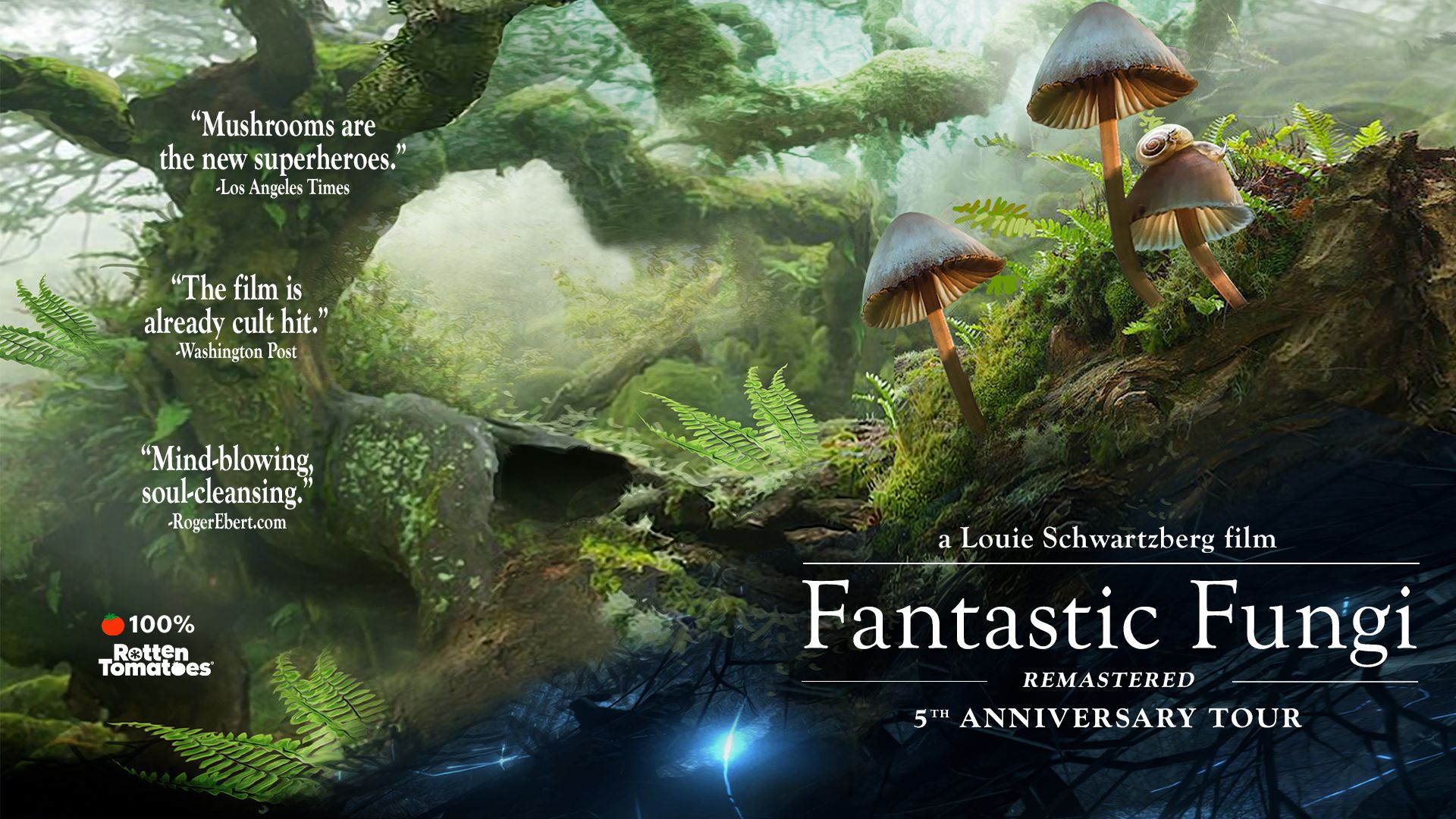 Fantastic Fungi: Remastered Fantastic Fungi: Remastered